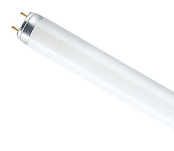 Лампа люминесцентная OSRAM Т8 36Вт G13 220В 33-640 теплый во Владивостоке
